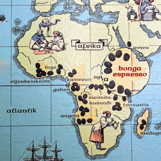 Bonga Espresso Bio 1kg